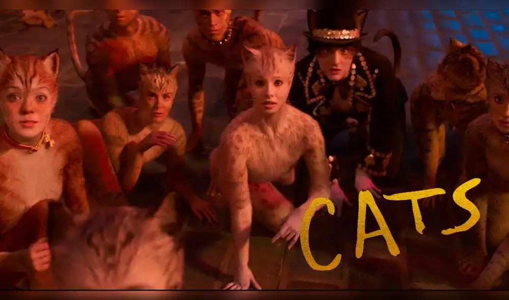 Cats pide una nueva oportunidad a la audiencia Cats pide una nueva oportunidad a la audiencia