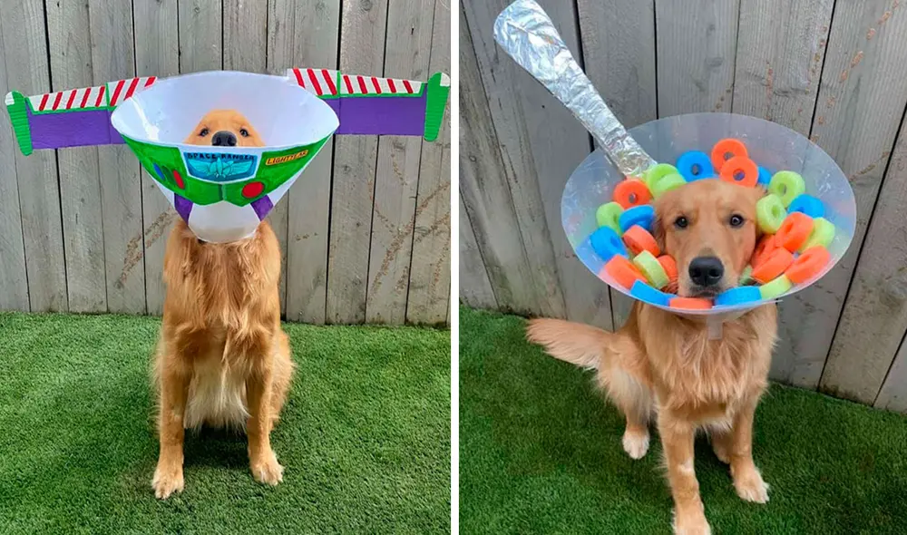 Desliza las imágenes para ver los creativos diseños que creó una joven cuando su perro llevó un cono isabelino en el cuello. Foto: Facebook