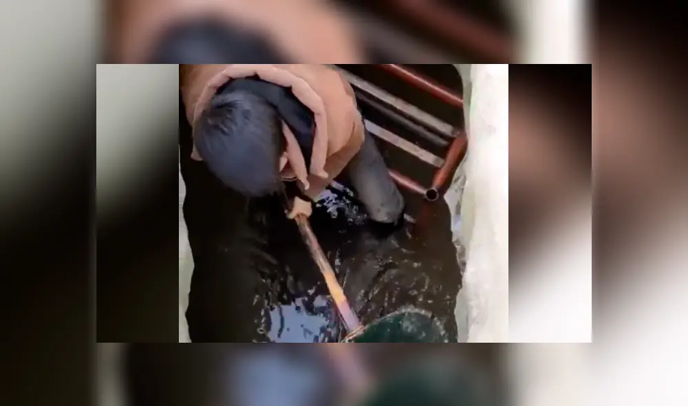 Facebook viral: Niño entra a pozo y descubre 'aterradoras' criaturas que sorprenden a miles [VIDEO]