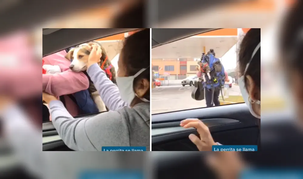Desliza las imágenes para ver más sobre este conmovedor gesto que tuvo una joven. (Foto: captura / TikTok) Desliza las imágenes para ver más sobre este conmovedor gesto que tuvo una joven. (Foto: captura / TikTok)