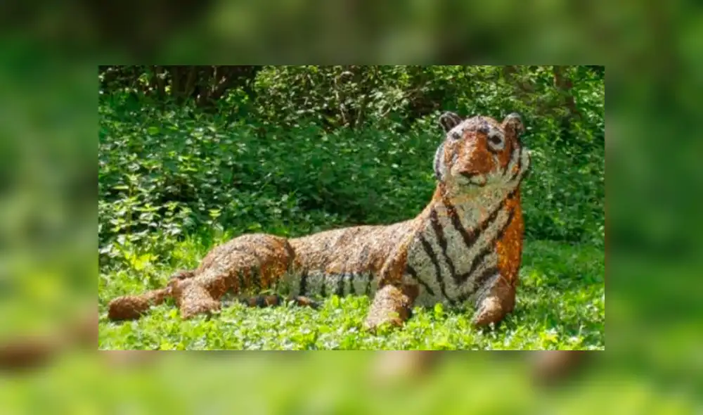 Desliza la imagen de Facebook para ver todas las fotos. Desliza la imagen de Facebook para ver todas las fotos.