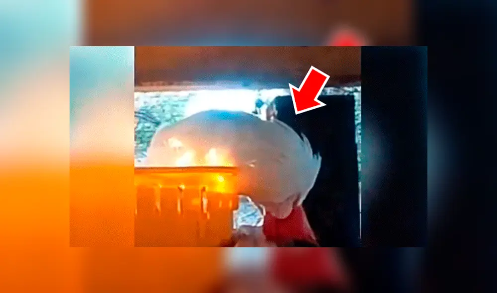 Facebook viral: Gallo se queda dormido y dueño aprovecha para vengarse de cruel forma [VIDEO] 