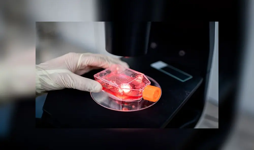 La vacuna de Sinovac es una de las pocas que ya está en fase 3. Foto: AFP La vacuna de Sinovac es una de las pocas que ya está en fase 3. Foto: AFP