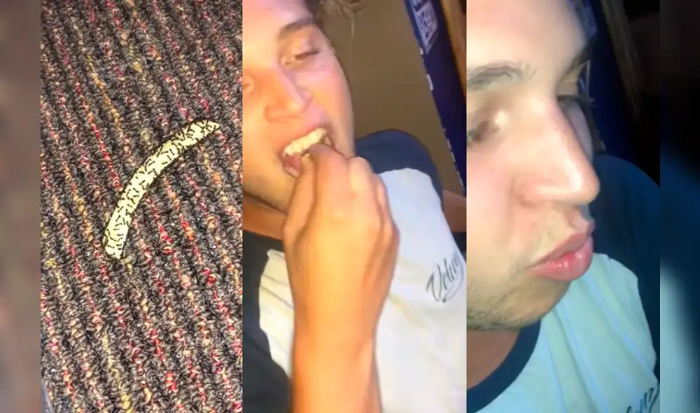 YouTube: lo retan a comer papa frita llena de hormigas, él acepta y luego reacciona así [VIDEO]