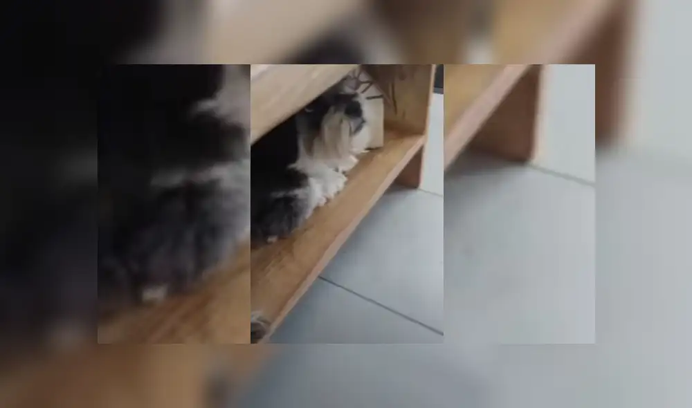 Desliza hacia la izquierda para ver más del video viral Desliza hacia la izquierda para ver más del video viral