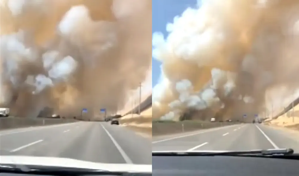 Personas que viven en el distrito de Grocio Prado señalaron que es la tercera vez que se produce un hecho similar en los humedales. Foto: captura de Canal N