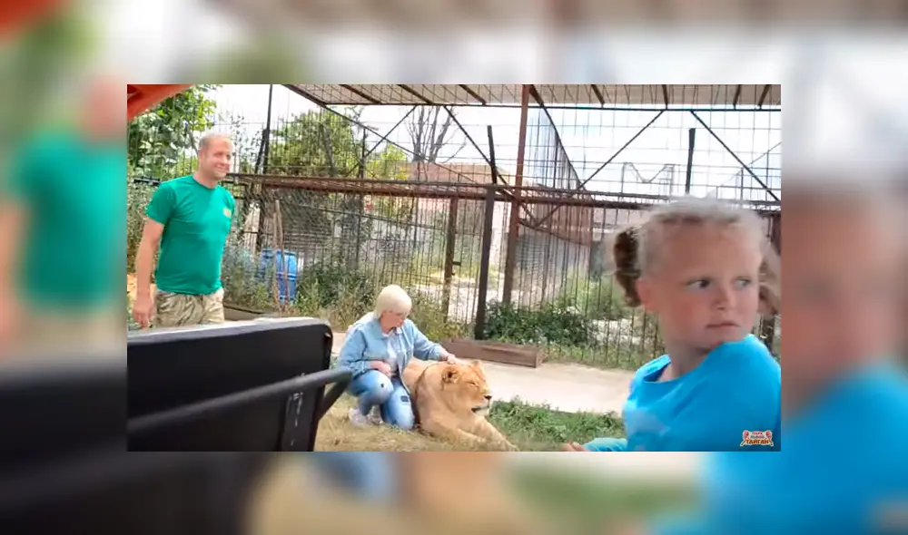 Leona enfurece con turistas al despertar bruscamente.