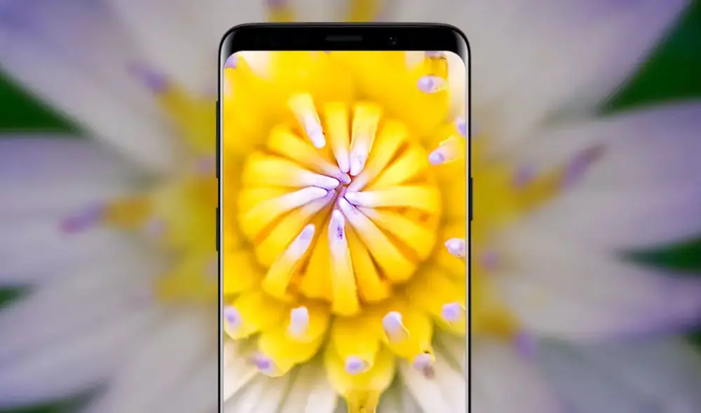 La cámara macro de un teléfono inteligente es el sensor que permite tomar fotos de primer plano. Foto: Móvil zona La cámara macro de un teléfono inteligente es el sensor que permite tomar fotos de primer plano. Foto: Móvil zona