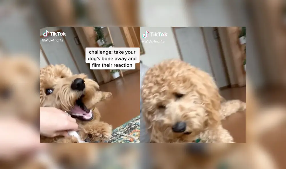 Desliza a la izquierda para ver más sobre este nuevo video viral de Facebook. Foto: Captura. Desliza a la izquierda para ver más sobre este nuevo video viral de Facebook. Foto: Captura.