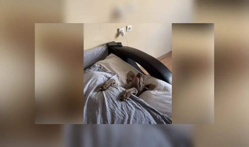 Desliza hacia la izquierda para ver las imágenes del viral de YouTube. Foto: Captura.