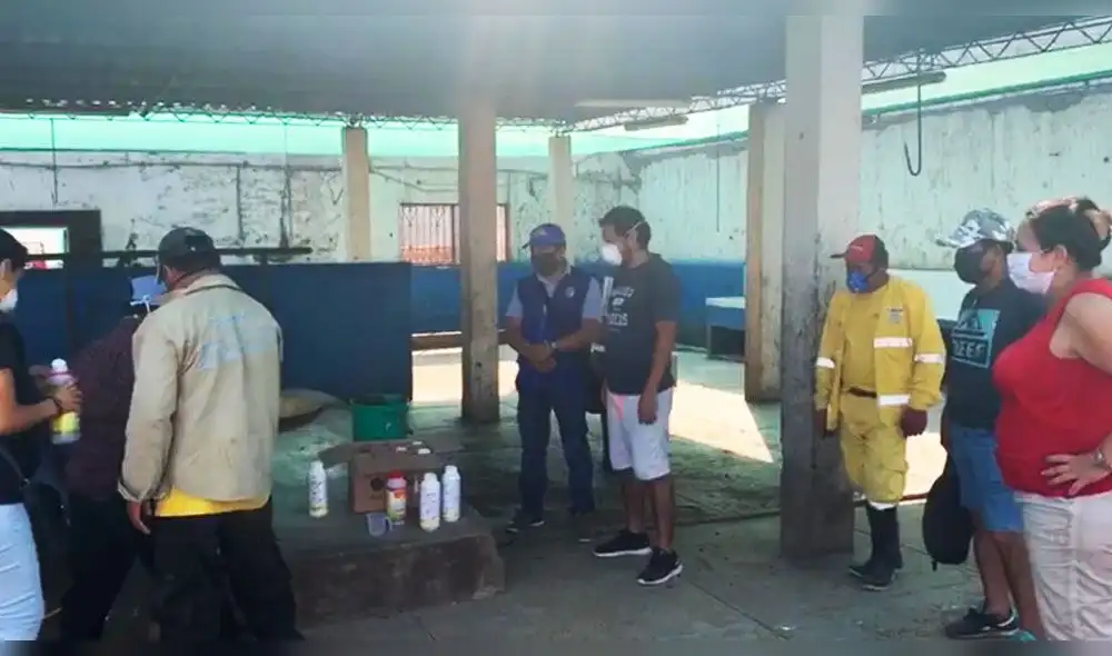 Autoridades se preparan para realizar fumigación en la provincia. Autoridades se preparan para realizar fumigación en la provincia.