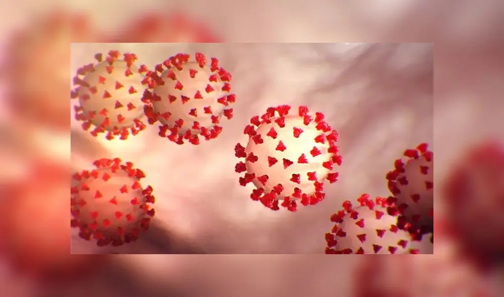 Representación del SARS-CoV-2, el coronavirus que ha causado la actual pandemia. Imagen: CDC. Representación del SARS-CoV-2, el coronavirus que ha causado la actual pandemia. Imagen: CDC.