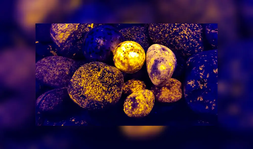 Facebook: hombre descubre extrañas piedras que se iluminan en una playa de Estados Unidos [VIDEO]