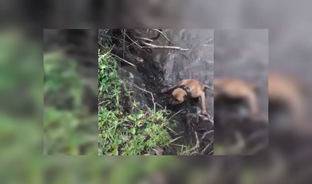 Desliza las imágenes para ver más detalles sobre esta escena que es viral en YouTube. Desliza las imágenes para ver más detalles sobre esta escena que es viral en YouTube.