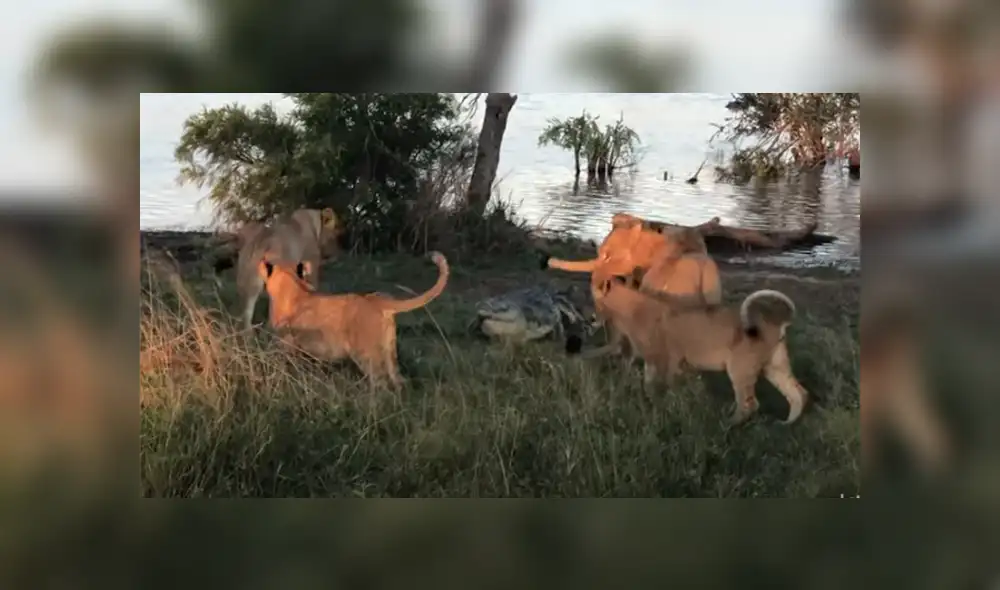 Desliza hacia la izquierda para ver las imágenes del viral de Facebook. Desliza hacia la izquierda para ver las imágenes del viral de Facebook.