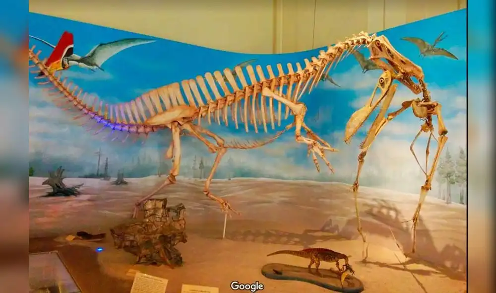 Google Maps: así lucía en Museo Nacional de Río de Janeiro antes del incendio [FOTOS]