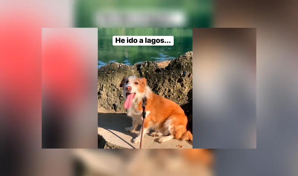 Desliza para ver los detalles de esta historia que conmovió a todos en Facebook. Foto: Captura. Desliza para ver los detalles de esta historia que conmovió a todos en Facebook. Foto: Captura.