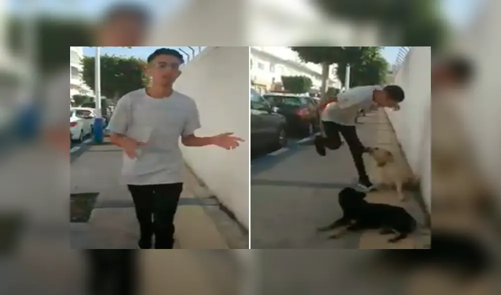 Desliza para ver los momentos más divertidos del video que se hizo viral en Facebook. Desliza para ver los momentos más divertidos del video que se hizo viral en Facebook.