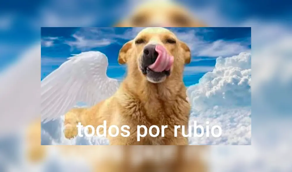 Miles de personas en las redes sociales exigen justicia para Rubio. Foto: Facebook. Miles de personas en las redes sociales exigen justicia para Rubio. Foto: Facebook.