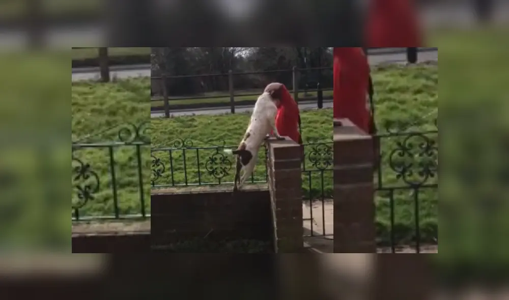 Desliza hacia la izquierda para ver más del video viral