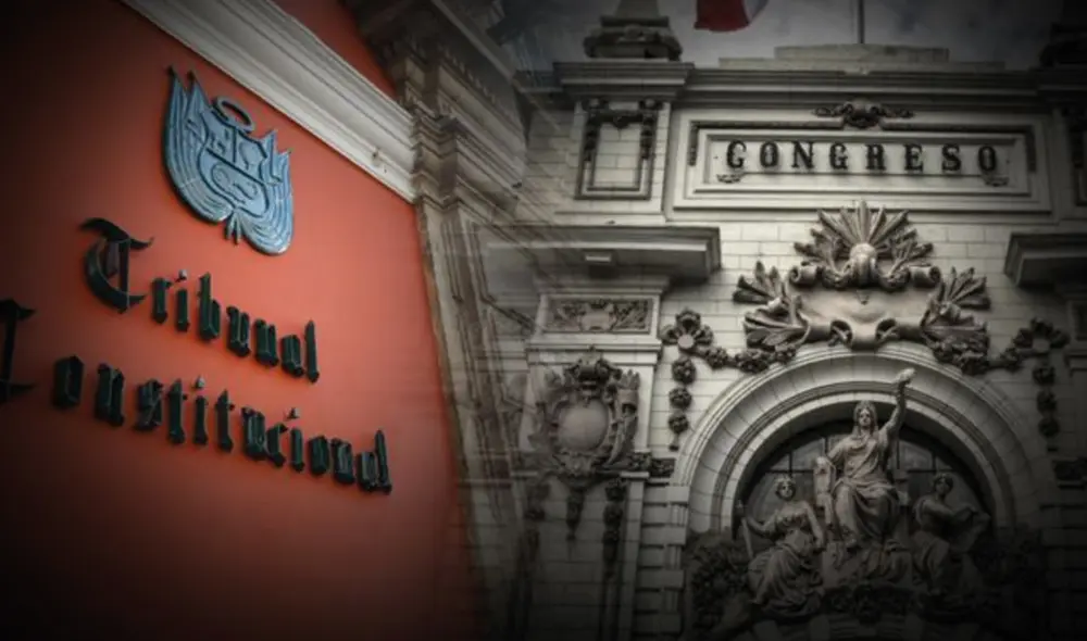 Tribunal Constitucional