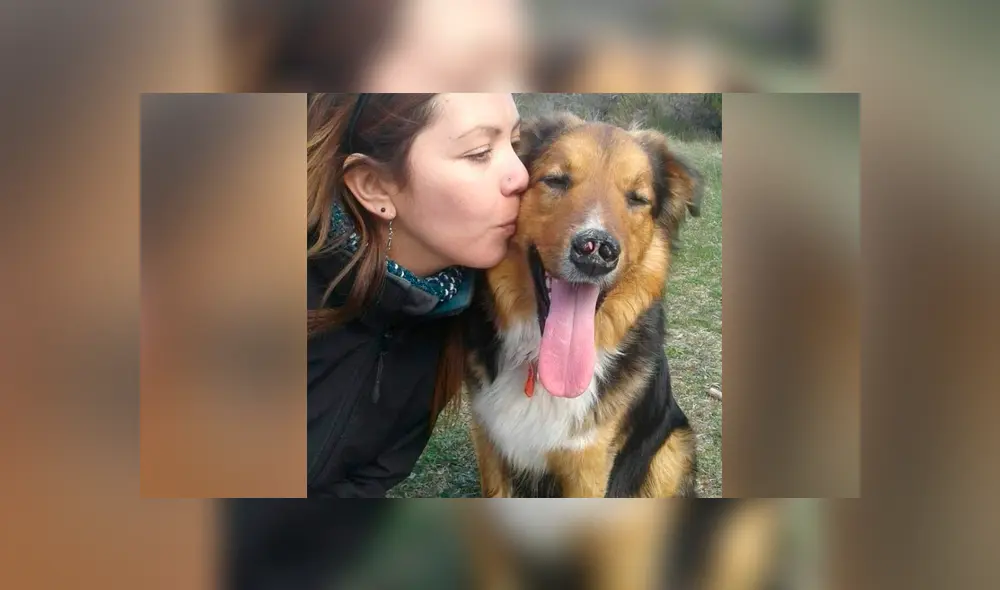 Hoy Lucas es un perro feliz y completamente recuperado. Foto: Facebook. Hoy Lucas es un perro feliz y completamente recuperado. Foto: Facebook.