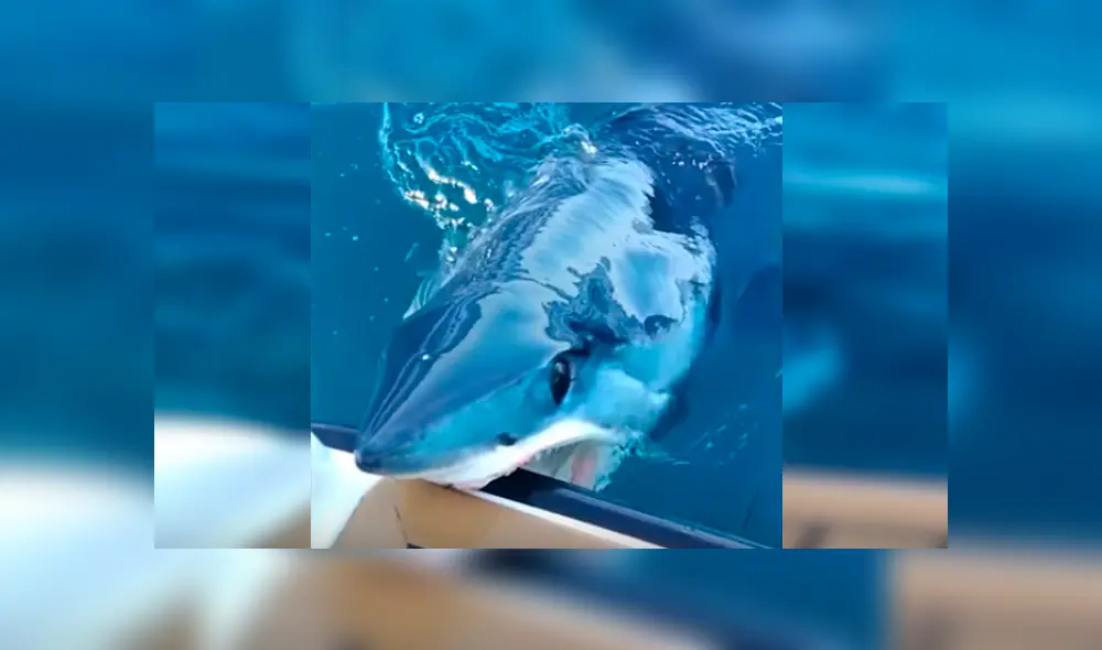 Desliza hacia la izquierda para ver más del video viral