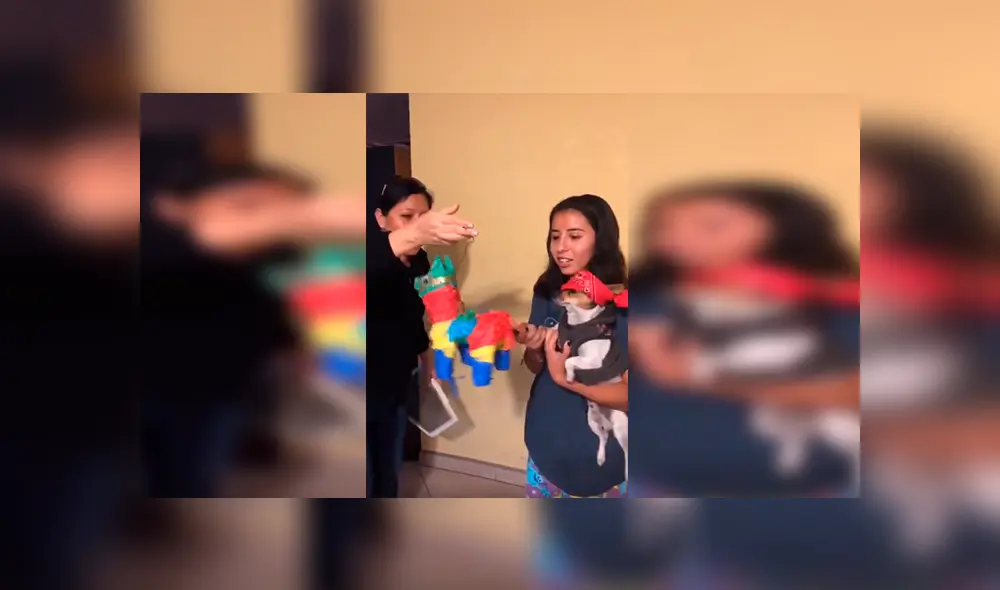 En YouTube, una joven organizó una fiesta en su casa para festejar el día especial de su querida mascota. En YouTube, una joven organizó una fiesta en su casa para festejar el día especial de su querida mascota.