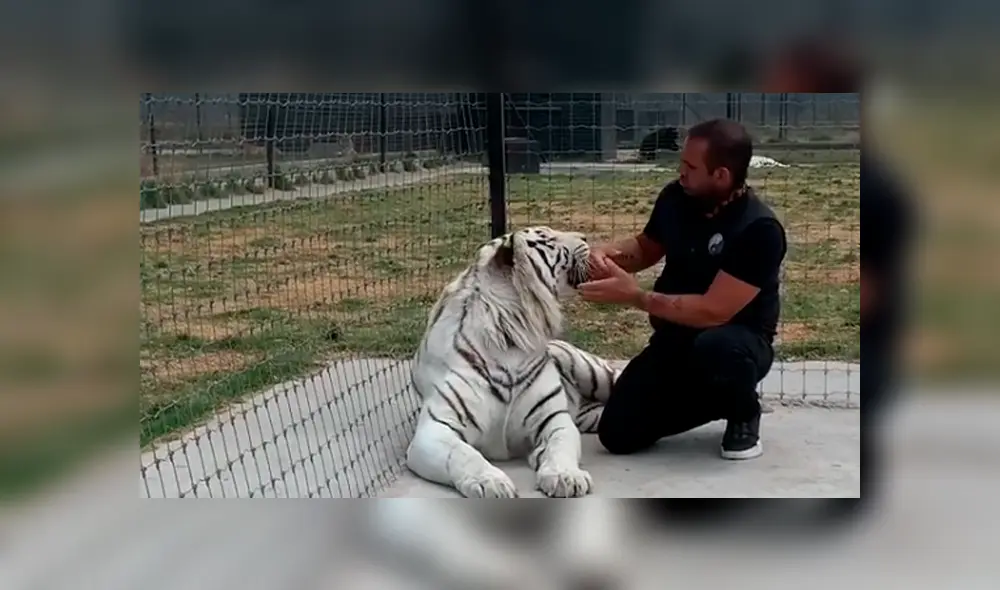 Desliza hacia la izquierda para ver las imágenes del viral de YouTube. Desliza hacia la izquierda para ver las imágenes del viral de YouTube.