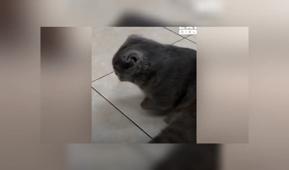 Desliza para ver los momentos más conmovedores de la historia que se hizo viral en Facebook.