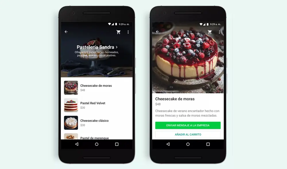 Revisa su catálogo de productos, elige el que más te guste y pulsa 'Agregar a carrito'. Foto: WhatsApp