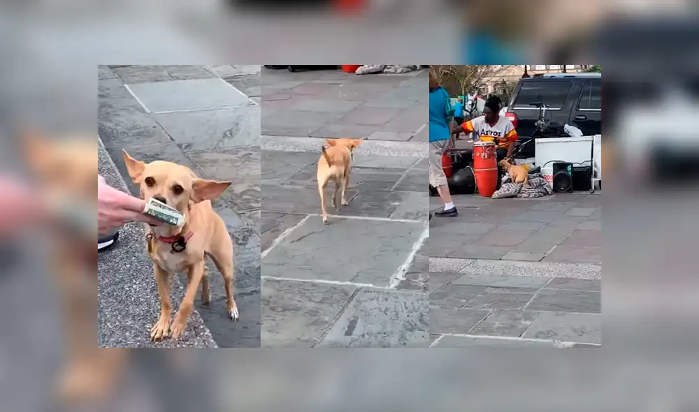 Desliza para ver los detalles del video viral de Facebook. Foto: Captura. Desliza para ver los detalles del video viral de Facebook. Foto: Captura.