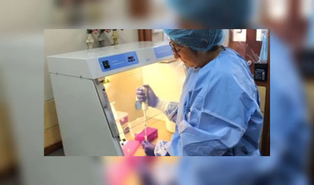 Para una mayor registro de muestras, el INS recibió 15.000 pruebas moleculares. Créditos: Andina.