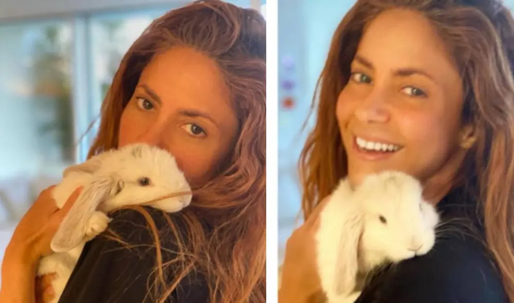 Shakira presenta a su nueva mascota Max Piqué Mebarak en Instagram y fans quedan encantados