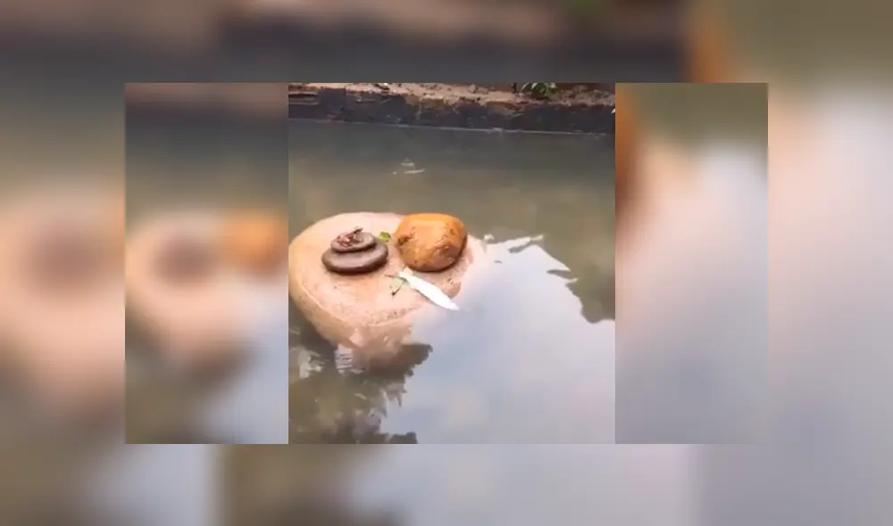 Desliza para ver el desenlace de este video viral de Facebook. Foto: Captura. Desliza para ver el desenlace de este video viral de Facebook. Foto: Captura.