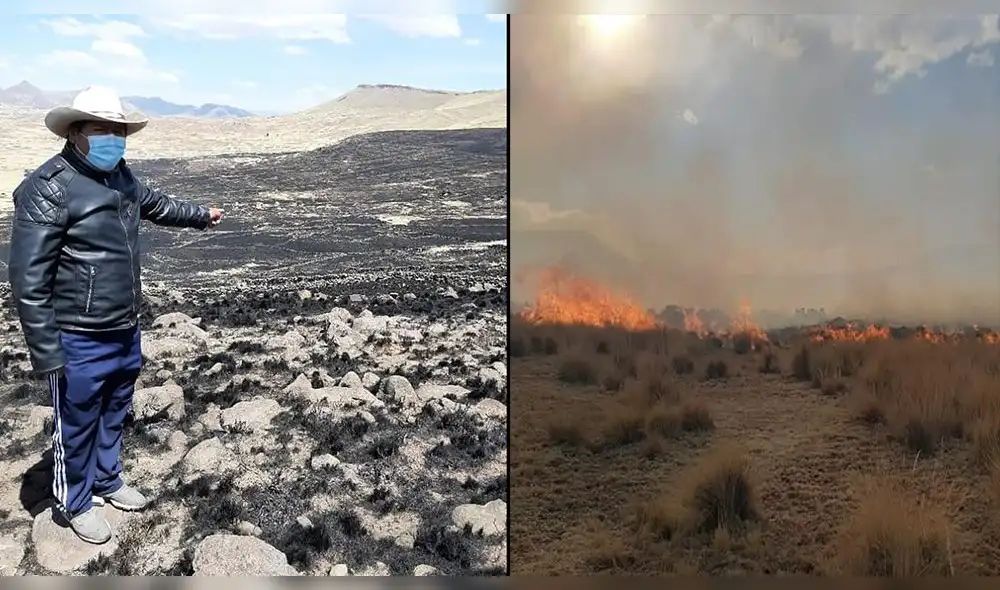 Incendio provocó la perdida de los pastizales en Huacullani y dejó en cenizas diez casas. Foto: Composición LR Incendio provocó la perdida de los pastizales en Huacullani y dejó en cenizas diez casas. Foto: Composición LR