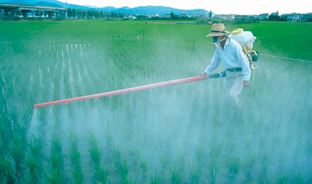 Foto: Difusión. Foto: Difusión.