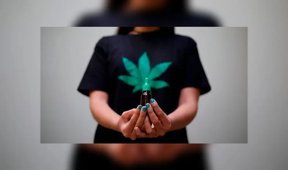 Documento técnico dispone que el médico tratante informe al paciente los beneficios y riesgos del uso medicinal del cannabis. (Foto: Archivo La República) Documento técnico dispone que el médico tratante informe al paciente los beneficios y riesgos del uso medicinal del cannabis. (Foto: Archivo La República)