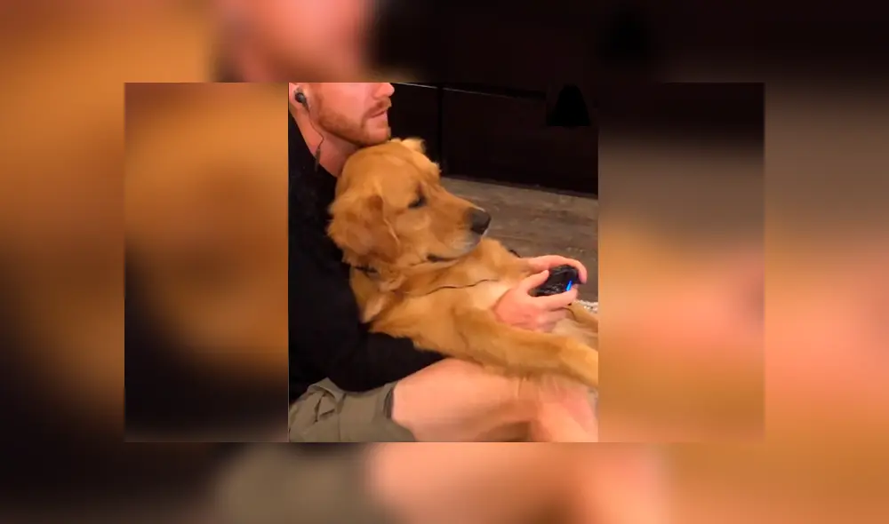 Desliza las imágenes para apreciar el amoroso momento entre un joven junto a la mascota de su pareja. Foto: Woof Woof.