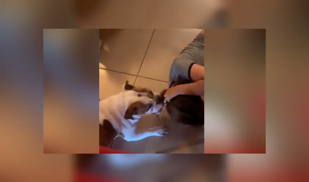 Desliza para ver los momentos más divertidos del video que se hizo viral en Facebook. Desliza para ver los momentos más divertidos del video que se hizo viral en Facebook.