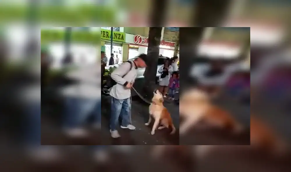 En Facebook, un joven ambulante realizó un espectáculo en la calle junto a su perro que impactó con su acto.