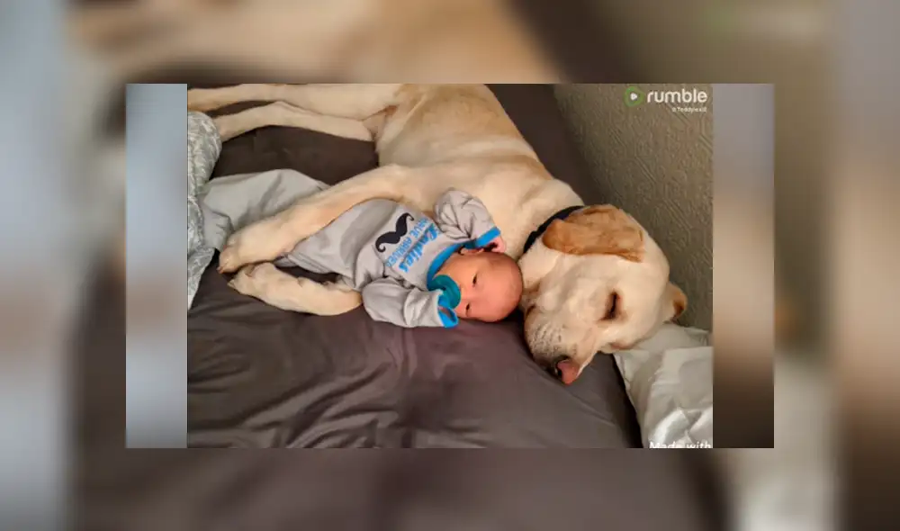 Desliza las fotografías para ver la cautivadora escena que logró ver una madre entre su mascota y su bebé. Foto: Captura/Facebook