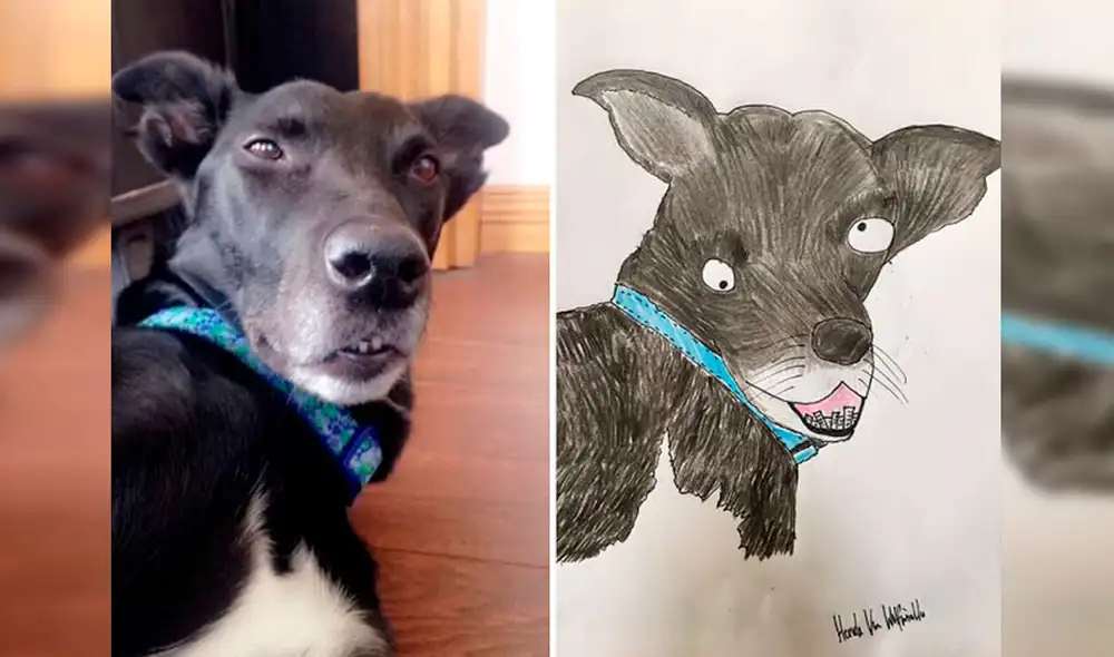 Desliza las imágenes hacia la izquierda para apreciar los dibujos de animales realizados por un joven. Fotos: Pet Portraits By Hercule.