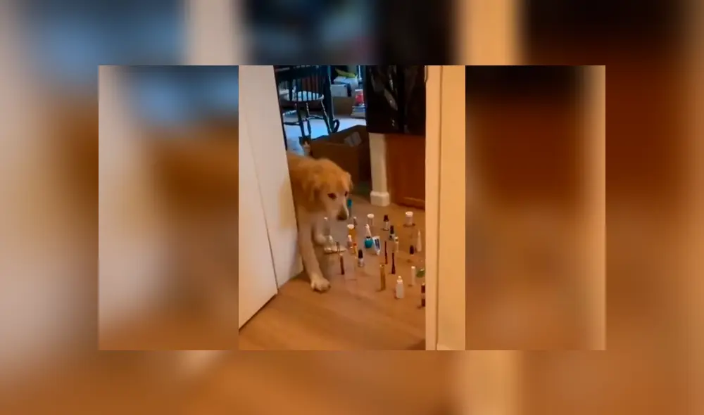 Desliza las imágenes hacia la izquierda para conocer al ganador de una divertida competencia que inventó un joven. Desliza las imágenes hacia la izquierda para conocer al ganador de una divertida competencia que inventó un joven.