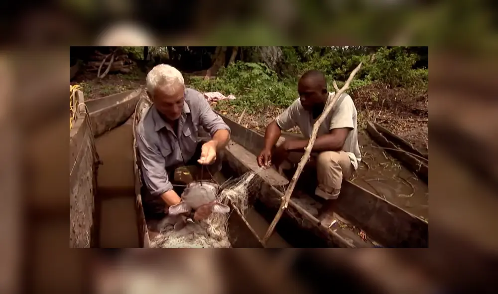 Si quieres ver el aspecto del misterioso pez que aparece en el video de YouTube, desliza cada imagen hacia la izquierda.