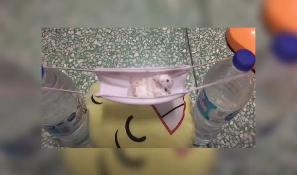 Desliza hacia la izquierda para ver las imágenes del viral de YouTube. Foto: Captura. Desliza hacia la izquierda para ver las imágenes del viral de YouTube. Foto: Captura.