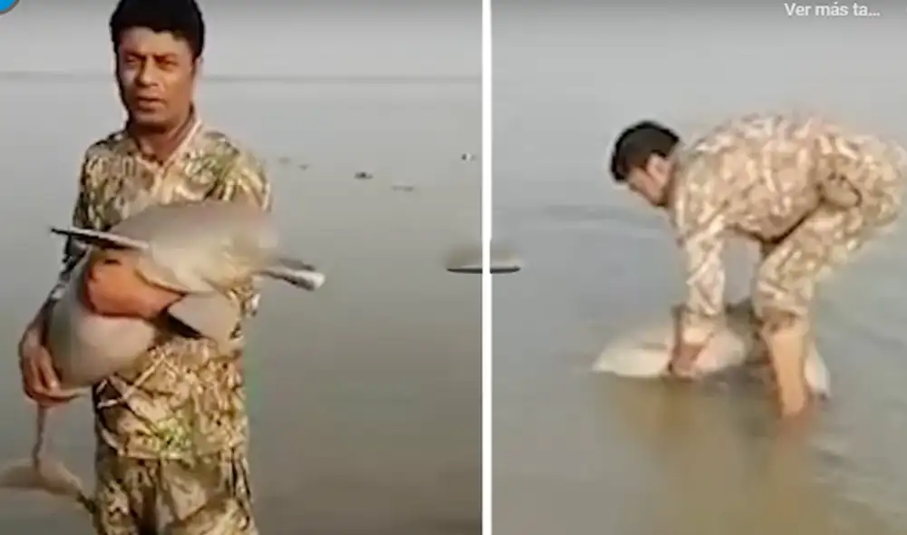 Un hombre de Pakistán salvó la vida de un delfín en la orilla del río. Foto: captura de YouTube. Un hombre de Pakistán salvó la vida de un delfín en la orilla del río. Foto: captura de YouTube.