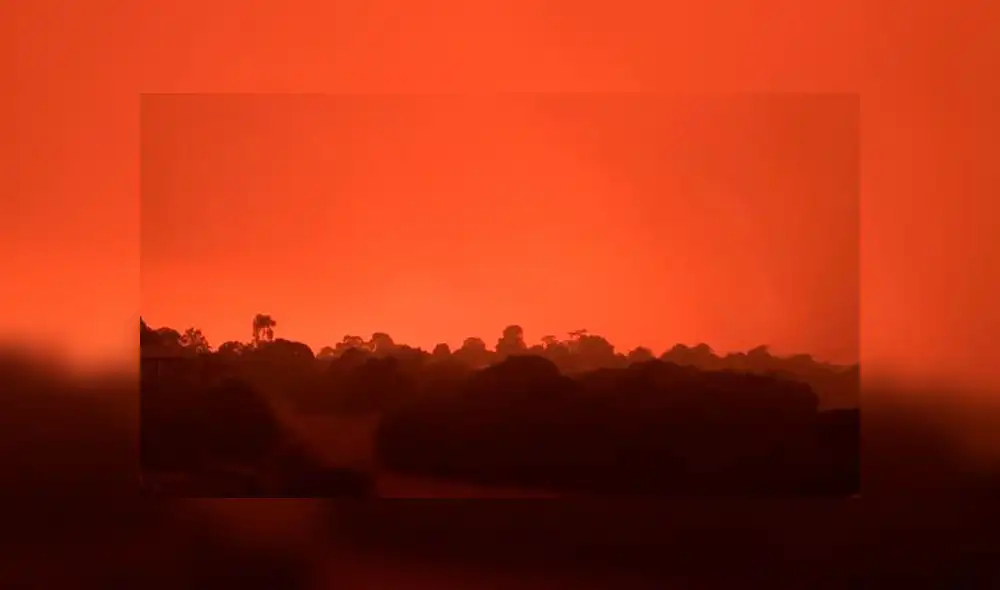 Incendios forestales en Australia. Foto: Difusión Incendios forestales en Australia. Foto: Difusión