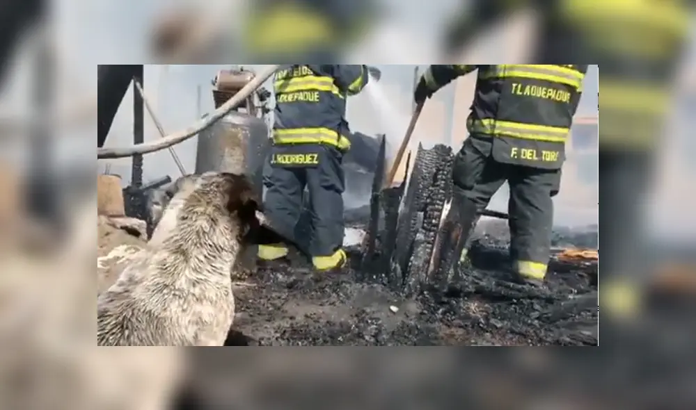 Desliza para conocer detalles del video viral de Facebook. Foto: Captura.