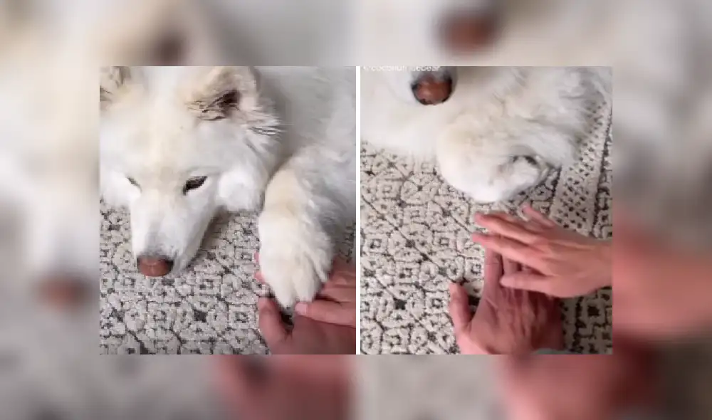 Desliza las imágenes para ver más detalles sobre esta escena que es viral en Facebook.